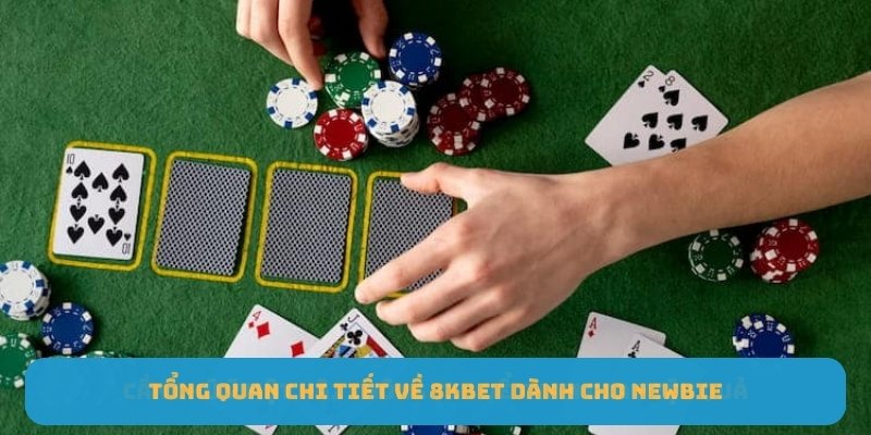 Tổng quan chi tiết về 8KBET dành cho newbie