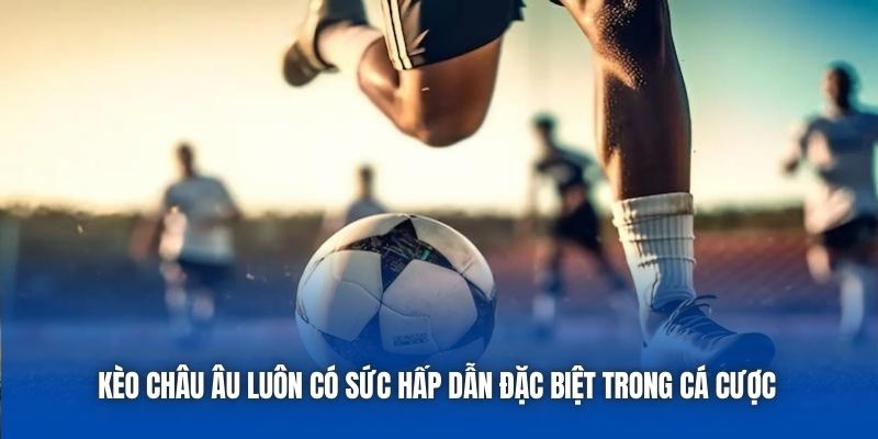 Kèo châu Âu luôn có sức hấp dẫn đặc biệt trong cá cược