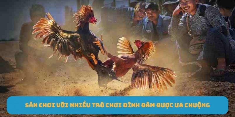 Sân chơi với nhiều trò chơi đình đám được ưa chuộng