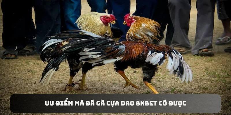 Ưu điểm mà đá gà cựa dao 8kbet có được